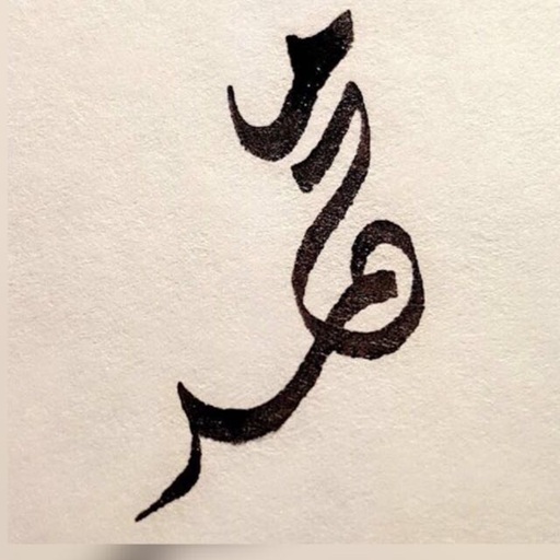 محمد حكمي